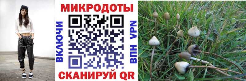 Псилоцибиновые грибы мицелий  Приволжск 